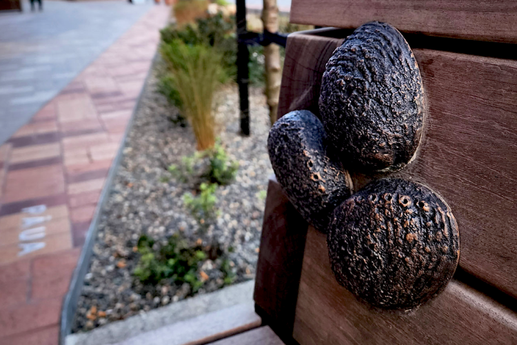 Paua Bronze Casting